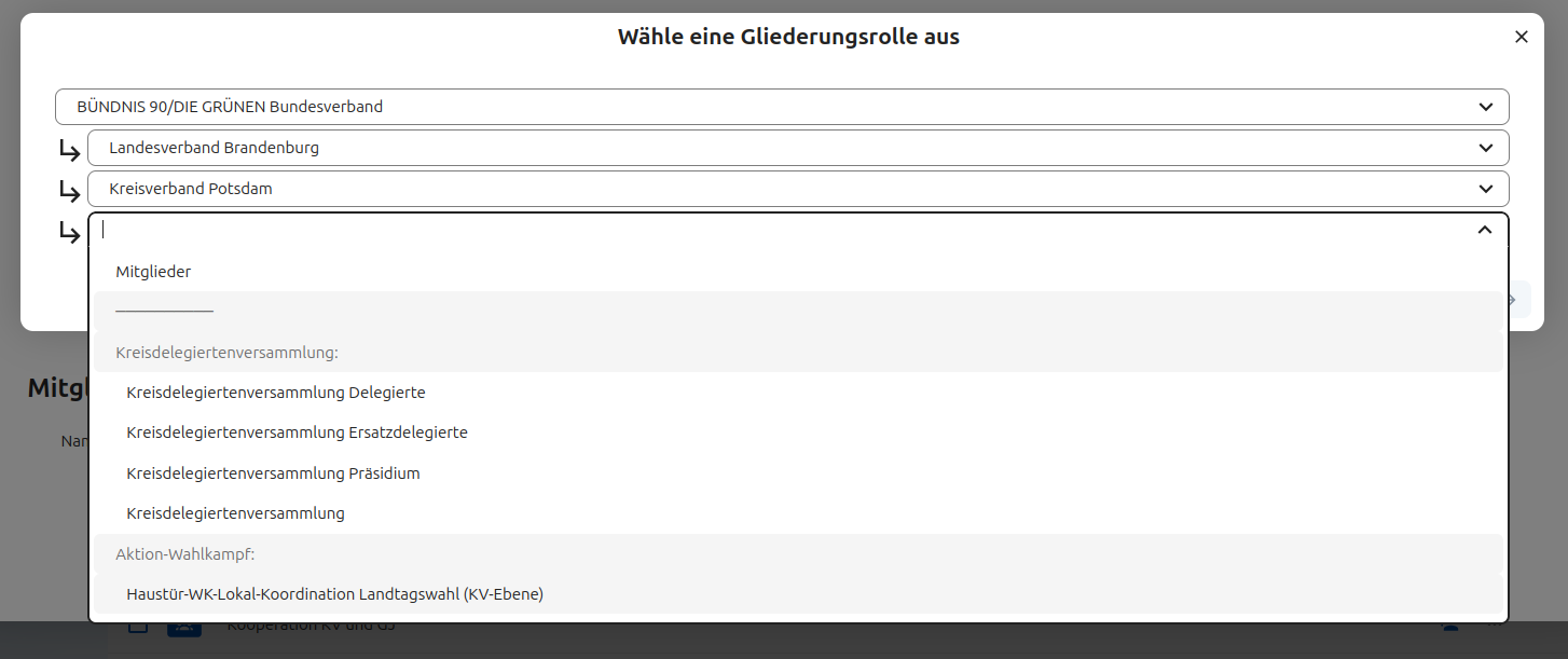 2025-10-06_auswahl_gliederungsrolle.png